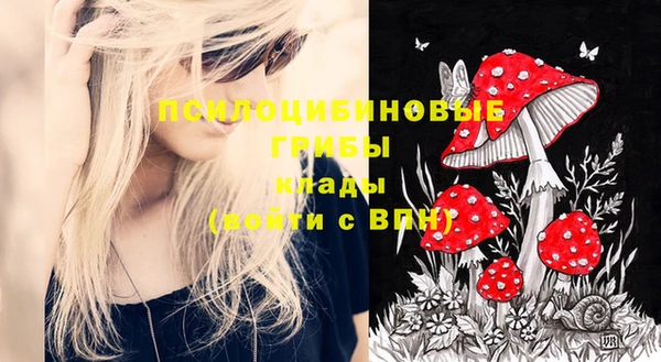 МДПВ Бронницы