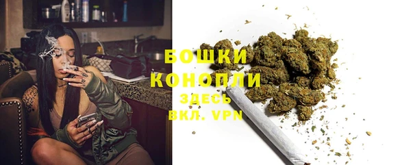 2c-b Бородино