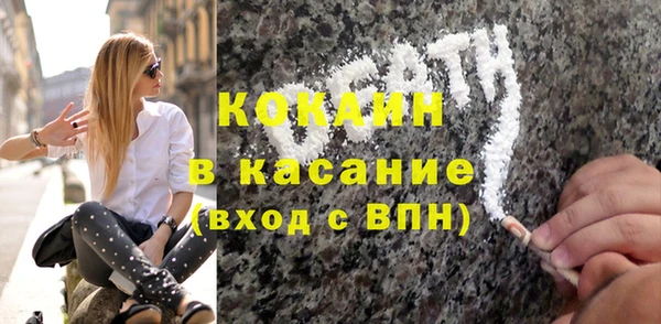 2c-b Бородино