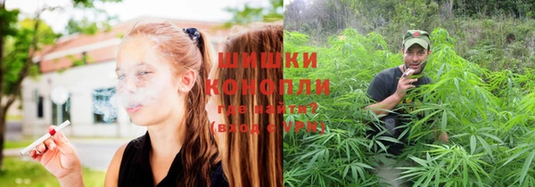 2c-b Бородино