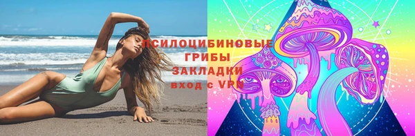 МДПВ Бронницы