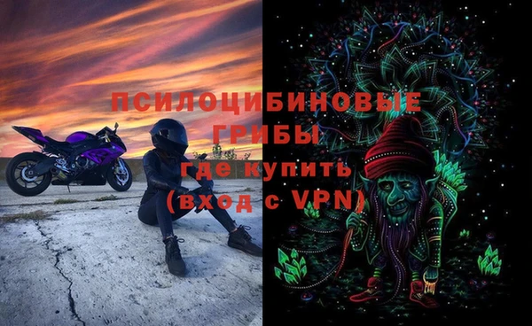 МДПВ Бронницы